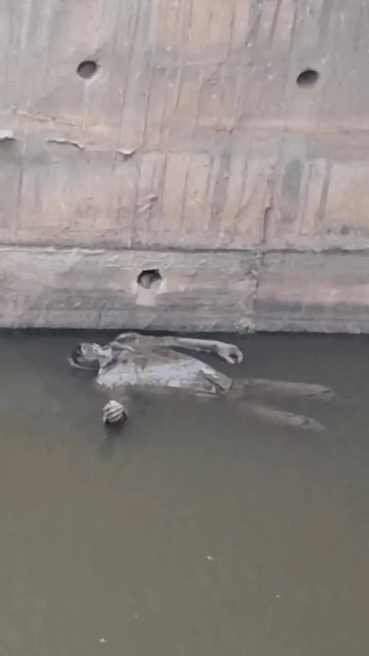 नाले में मिला युवक का शव, सिविल डिफेंस की टीम पहुंची मौके पर,शव को निकाला बहार, डेढ़ बोड़ी महात्मा गांधी अस्पताल में रखी