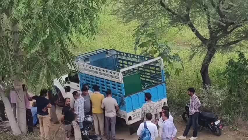 खेतड़ी: रसूलपुर में पैंथर का आतंक, महिला सहित दो ग्रामीणों पर किया हमला, दोनों को सीकर रेफर किया गया
