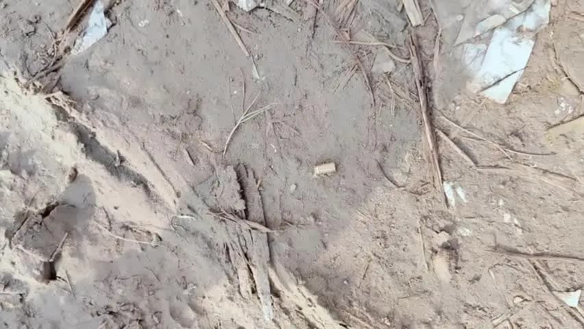 समस्तीपुर: शंभूपट्टी गांव में गोलीबारी और तोड़फोड़, पुलिस ने प्राथमिकी दर्ज कर जांच शुरू की