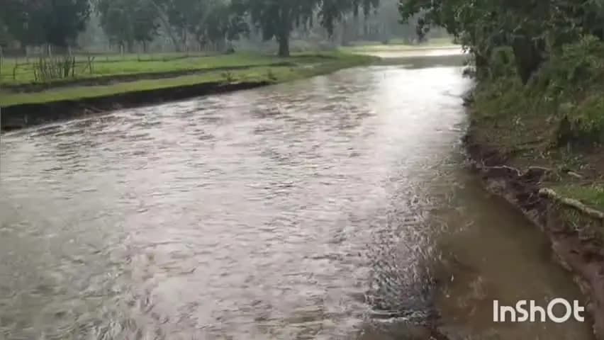 मनेन्द्रगढ़: एमसीबी में अब तक 1121.2 मिमी औसत बारिश, कोटाडोल में सबसे ज्यादा वर्षा दर्ज