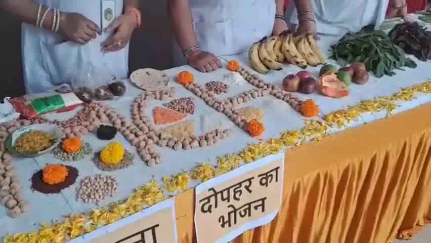 दमोह: जिला अस्पताल में थ्री सिस्टर ने पोषण आहार प्रदर्शनी में लाइव मॉडल से समझाया संतुलित भोजन का महत्व, मरीज और परिजन मौजूद