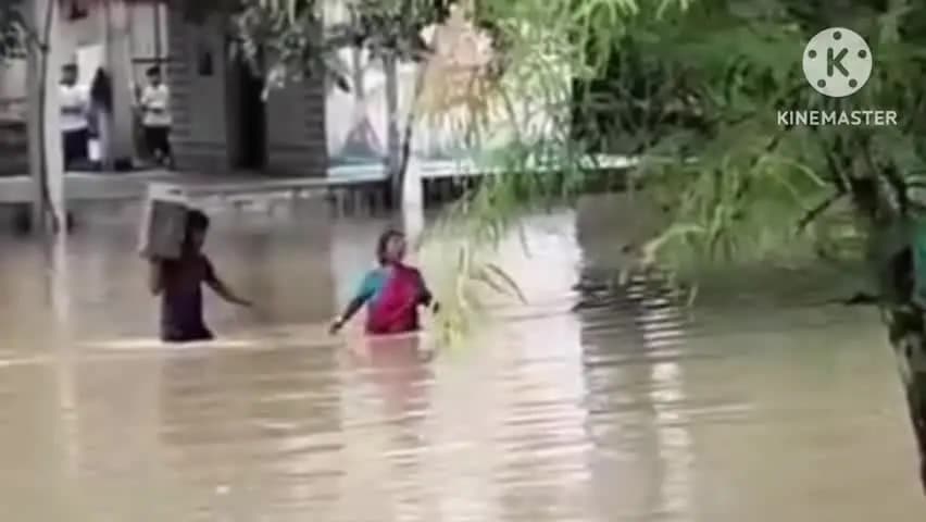 पटेरा: पटेरा ब्लाक के बिलाई में बाढ़ के हालात, भारी जलभराव से जनजीवन प्रभावित; वीडियो वायरल