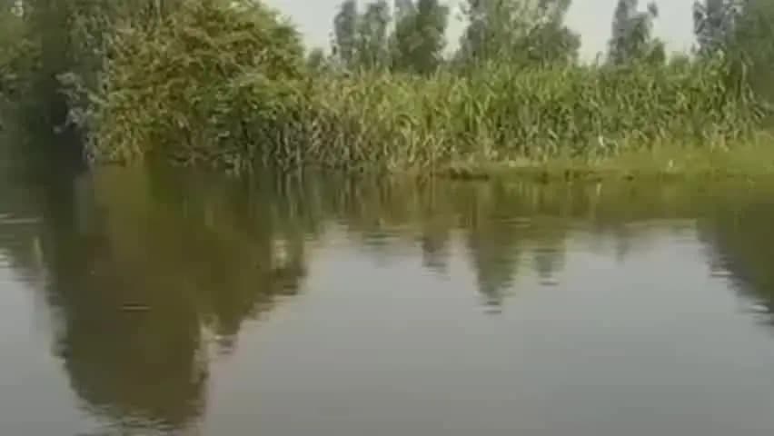 नौगावां सादात: गंगा का जलस्तर बढ़ने से किसानों की फसलें बर्बाद, पानी कम होने पर मिली राहत, नुकसान को लेकर किसान चिंतित