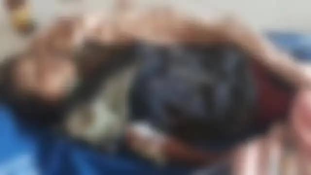 मुंगेली: सोनहत थाना क्षेत्र धनपुर बस्ती में स्कूल बस की चपेट में आई दूसरी कक्षा की छात्रा की मौत