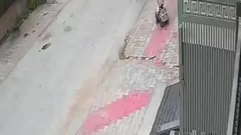 आबू रोड: आबूरोड में आवारा पशुओं का आतंक जारी, घर के बाहर खेल रहे मासूम बच्चे पर आवारा पशु ने किया हमला, मची चीख-पुकार