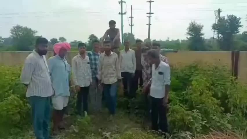 सुवासरा: सुवासरा दोदर गांव के ग्रामीणों ने अपनी समस्या को लेकर सांसद से लगाई गुहार