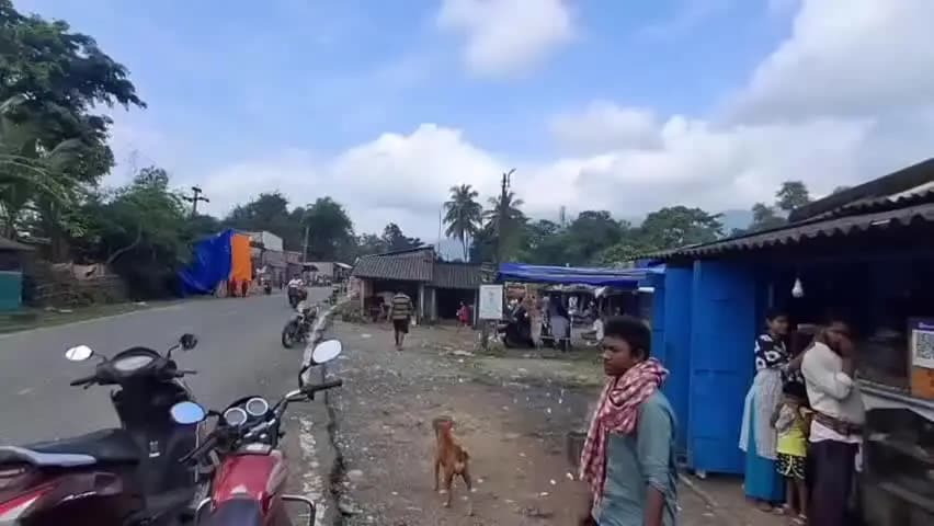 ସୋର: ସୋର ଗୋପୀନାଥପୁର ଠାରେ ତିନୋଟି ଦୋକାନରେ ଚୋରି ଅଭିଯୋଗ