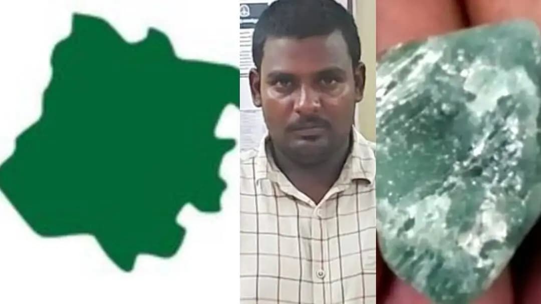 பெரம்பலூர்: வேலூர் அலெக்ஸாண்ட்ரைட் கல் விவகாரம்: போலீஸை அதிரவைத்த பகீர் உண்மை!