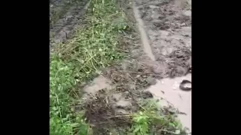 सोहागपुर: नगर के वार्ड नं 29 में सड़क निर्माण न होने से लोगों बढ़ी परेशानी, गड्ढों और कीचड़ से नरक बना महोल्ला, वीडियो हुआ वायरल