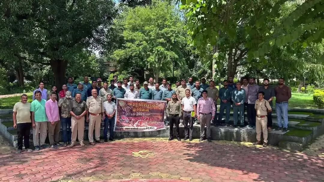 पन्ना: पन्ना टाइगर रिजर्व में 1 अक्टूबर से पर्यटन शुरू, 60 गाइडों को मिला वन्यजीव सुरक्षा व बेहतर व्यवहार का प्रशिक्षण