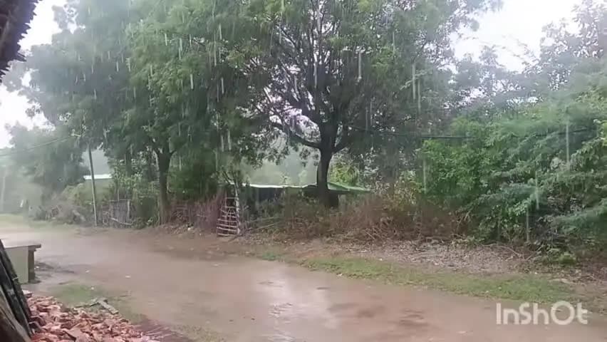 कपासन: कपासन क्षेत्र में शनिवार दोपहर बाद मौसम का मिजाज बदला, झमाझम बारिश से खरीफ फसलों को मिला जीवनदान
