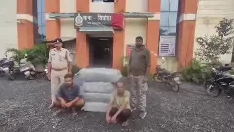 ऑपरेशन निश्चय- 120किलो गांजा तस्करी पर पुलिस की कार्रवाई, नशे की खेप समेत ₹70लाख की संपत्ति जब्त, ओडिशा से गुजरात परिवहन