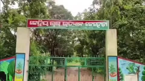 ନବରଙ୍ଗପୁର ପୋଲିସ ଷ୍ଟେସନ: ଲଗାଣ ବର୍ଷାରେ ଭାସିଗଲା ଡ଼ାଇଭର୍ସନ୍: ଉମରକୋଟ-ରାଇଘର-ଛତିଶଗଡ଼ ଯୋଗାଯୋଗ ବିଚ୍ଛିନ୍ନ