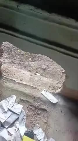 जिला अररिया भगवानपुर पंचायत वाट नंबर 12 गोळी टोला बस्ती चोरी हुआ है ,9,, 9,,2026 चांदी बर्तन वगैरे चोरी हुआ 🥲🥲 इस वीडि