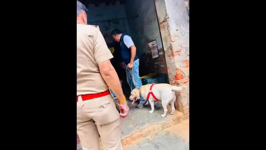 झज्जर: डिघल गांव में पुलिस ने डॉग स्क्वाड की मदद से चलाया सघन सर्च अभियान, नशे व अवैध हथियारों पर शिकंजा