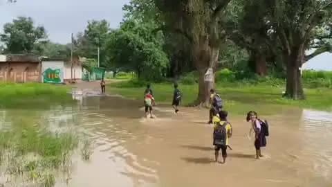अनूपपुर: उजींर बगीचा: ज्ञानोदय इंग्लिश मीडियम स्कूल तक सड़क नहीं, बच्चे पानी-कीचड़ के बीच पहुंच रहे स्कूल