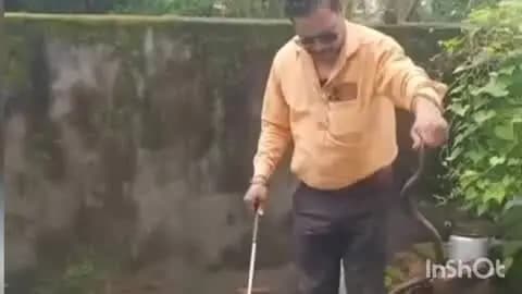 अनूपपुर: घर में घुसे धामन सांप से मची दहशत, सर्प प्रहरी छोटे लाल यादव ने किया सुरक्षित रेस्क्यू