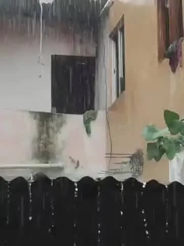 खिलचीपुर: खिलचीपुर में 2 घंटे की बारिश से बस स्टैंड पर एक फीट पानी भरा, दुकानों और यात्रियों की परेशानी बढ़ी