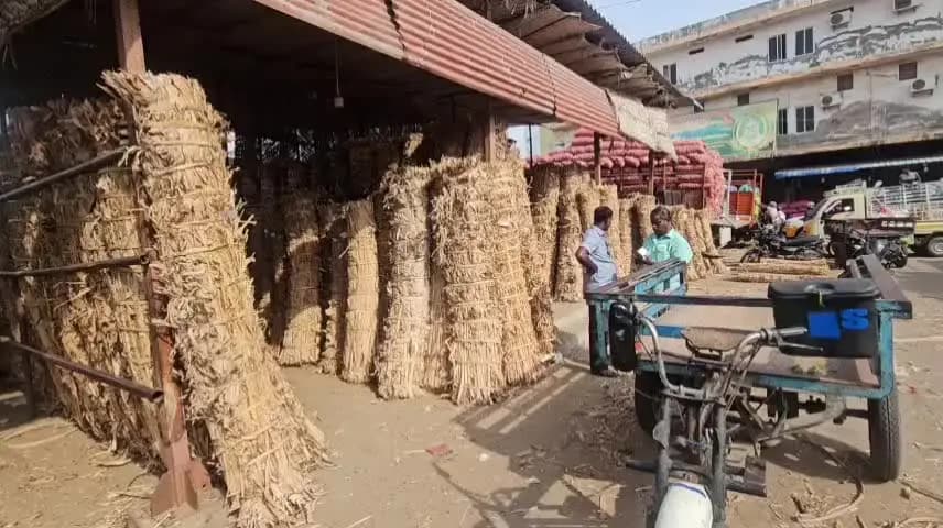 தூத்துக்குடி: விநாயகர் சதுர்த்தி மற்றும் சுப முகூர்த்த தினத்தை முன்னிட்டு காய்கறி சந்தையில் வாழை இலை மற்றும் வாழைத்தார்கள் விலை உயர்வு