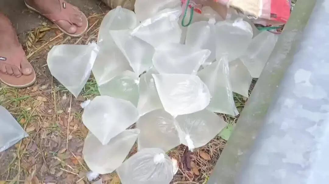 নগাঁও: ননৈ আৰক্ষী থানাৰ ভাৰপ্ৰাপ্ত বিষয়া তৰালী বৰাৰ নেতৃত্বত আৰক্ষীয়ে অভিযান চলাই প্ৰায় ১০০ লিটাৰ চুলাই মদ জব্দ কৰে