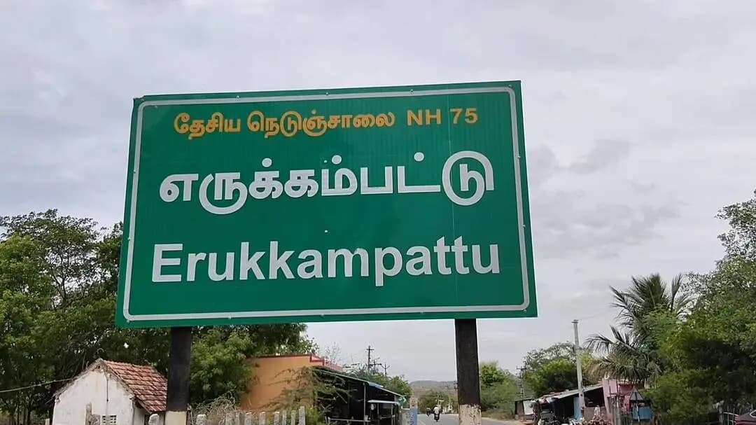 பேரணாம்பட்டு: வேலூர்: பேரணாம்பட்டு அருகே விளைநிலங்களுக்குள் புகுந்த யானைகள் - 5 ஏக்கர் பயிர்கள் சேதம்