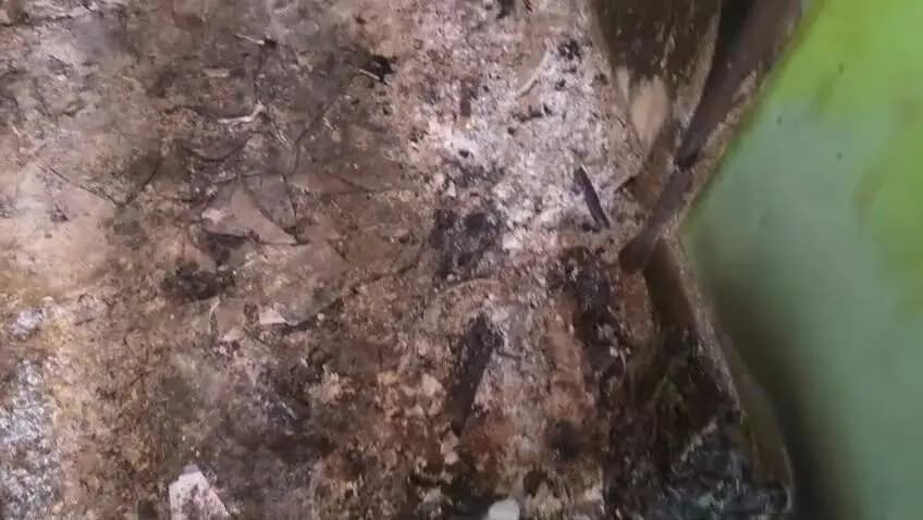 കാട്ടാകട: കാട്ടാക്കടയിലെ ആനന്ദിന്റെ വീട് 2 ദിവസത്തില് രണ്ട് തവണ ഗുണ്ടാക്രമണം