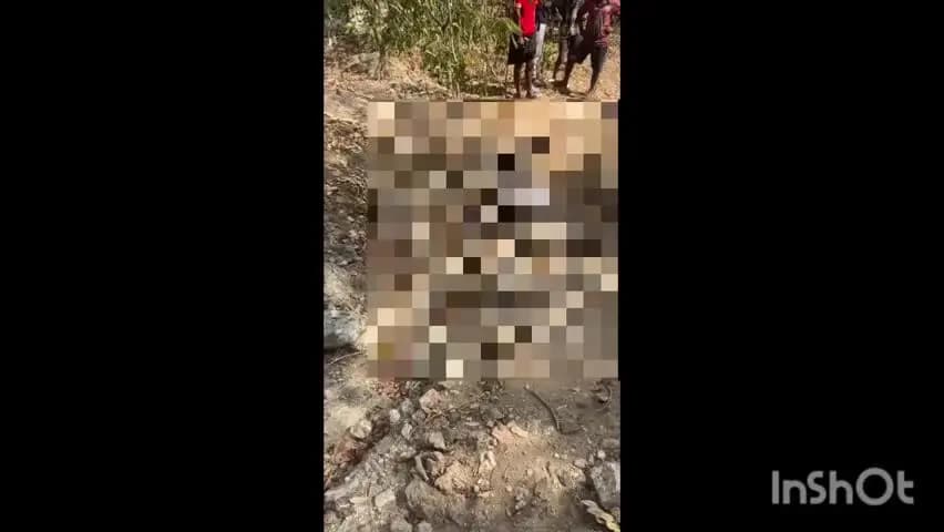 மேட்டுப்பாளையம்: கொடுங்கரை பள்ளம் பகுதியில் காட்டு யானை தாக்கி முதியவர் உயிரிழப்பு