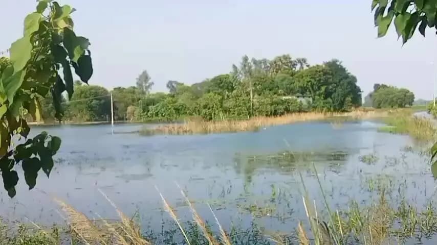 बांसडीह: मनियर कस्बे के वार्ड नंबर 10 बहेरा पार में जल जमाव की समस्या से लोगों की बढ़ी परेशानी, घाघरा नदी के तांडव से लोग परेशान