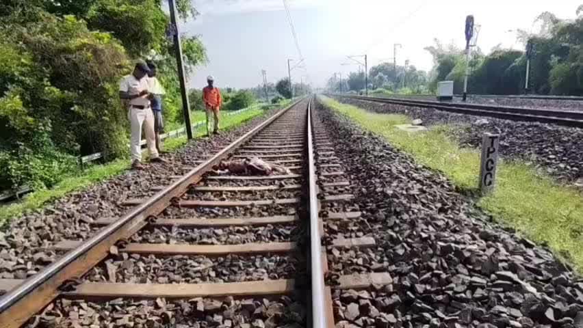 ସୋର: ଲିଙ୍ଗପଡା ରେଳ ଫାଟକ ଠାରେ ଟ୍ରେନ ଧକ୍କାରେ ଜଣେ ବୃଦ୍ଧ ମୃତ