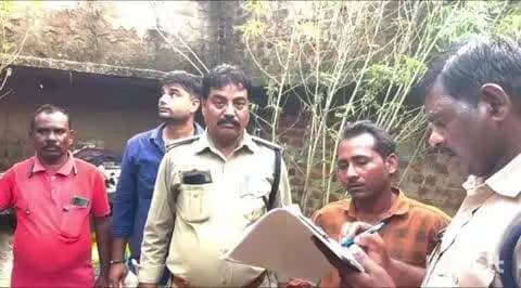 चितरंगी: घर की बाउंड्री में गांजा के 11 पौधे उगाए, पुलिस ने आरोपी को किया गिरफ्तार