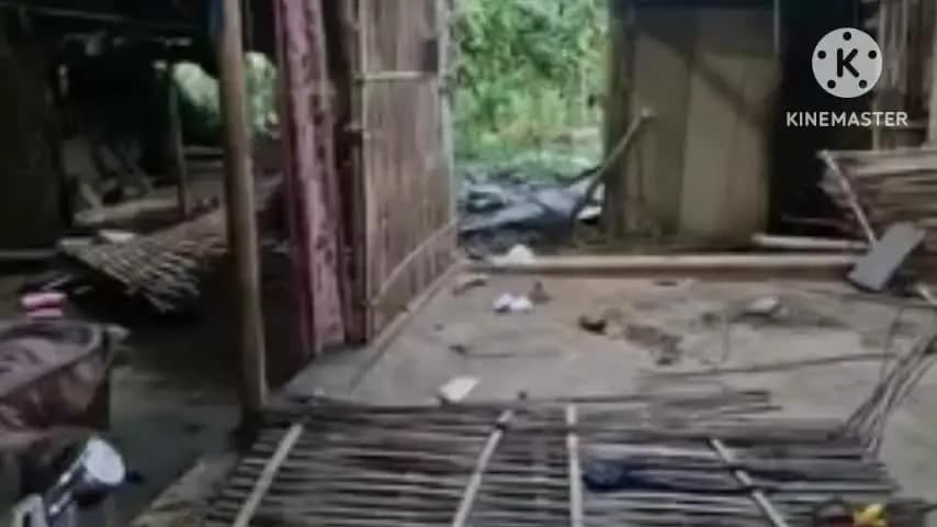 বোকাখাত: বকিয়ালত অব্যাহত বন্যহস্তীৰ উপদ্ৰৱ,বন্য হস্তীয়ে বকিয়ালৰ নাহৰচলাত ভাঙি লণ্ডভণ্ড কৰিলে বাসগৃহ