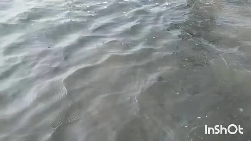 मुंगेर: गंगा का जलस्तर घटा, पर लोगों की परेशानी बरकरार; सिंघिया-माणगढ़ मुख्य पथ पर चढ़ा बाढ़ का पानी