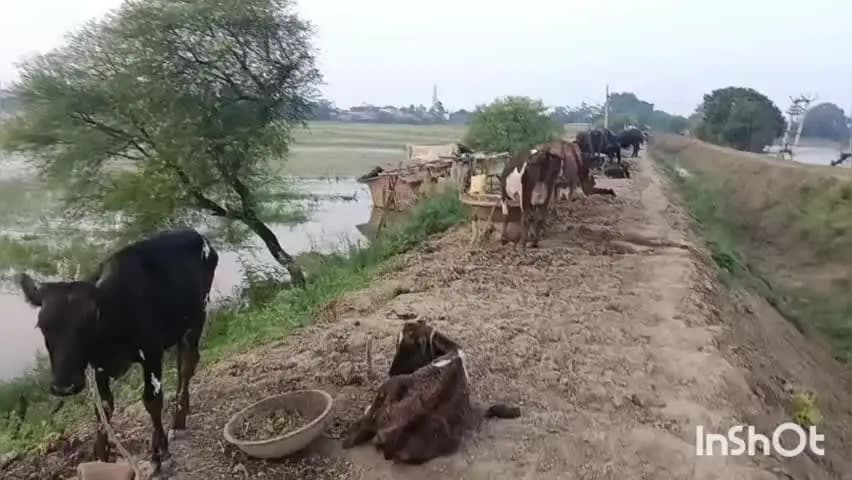 मुंगेर: मुंगेर में 5 लाख से अधिक आबादी बाढ़ की चपेट में, गंगा 10 दिनों से खतरे के निशान के ऊपर