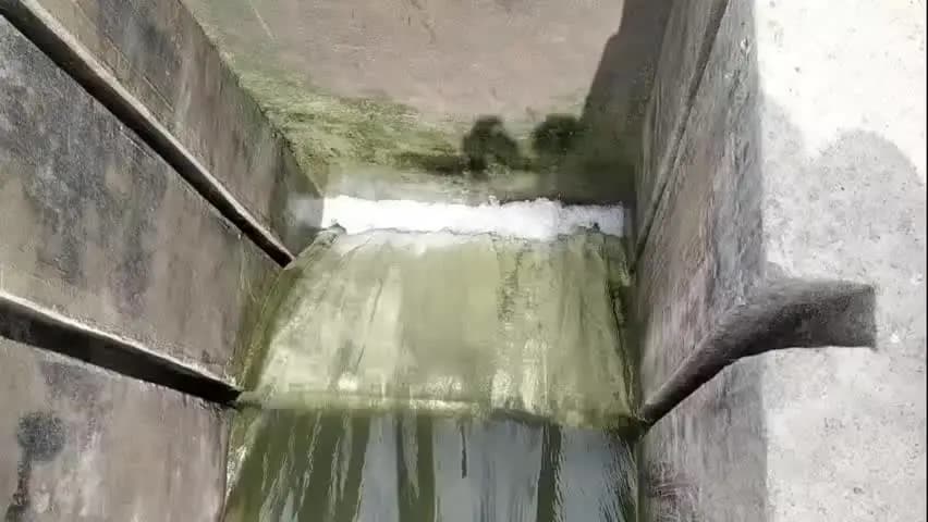 मौदहा: कम्हरिया में तेज बहाव में फंसे लोगों को ग्रामीणों ने बचाया, वीडियो वायरल होते ही विभाग हरकत में आया