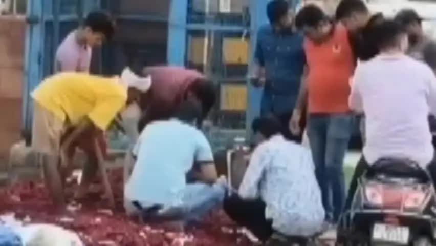 मुबारकपुर डबास में सड़क किनारे मिला नवजात का शव, सिर गायब होने से मचा हड़कंप