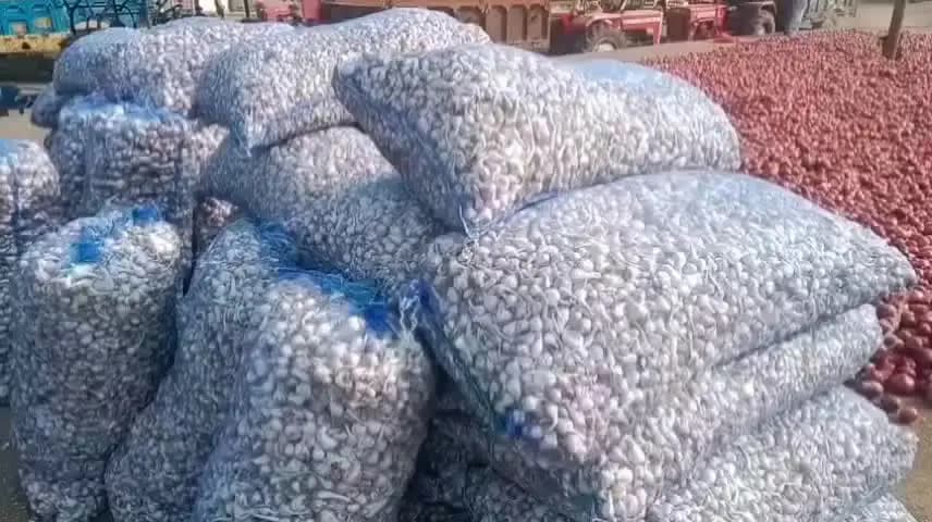कालापीपल: कालापीपल मंडी में एक दिन के लिए 3 नंबर सेट पर होगी नीलामी