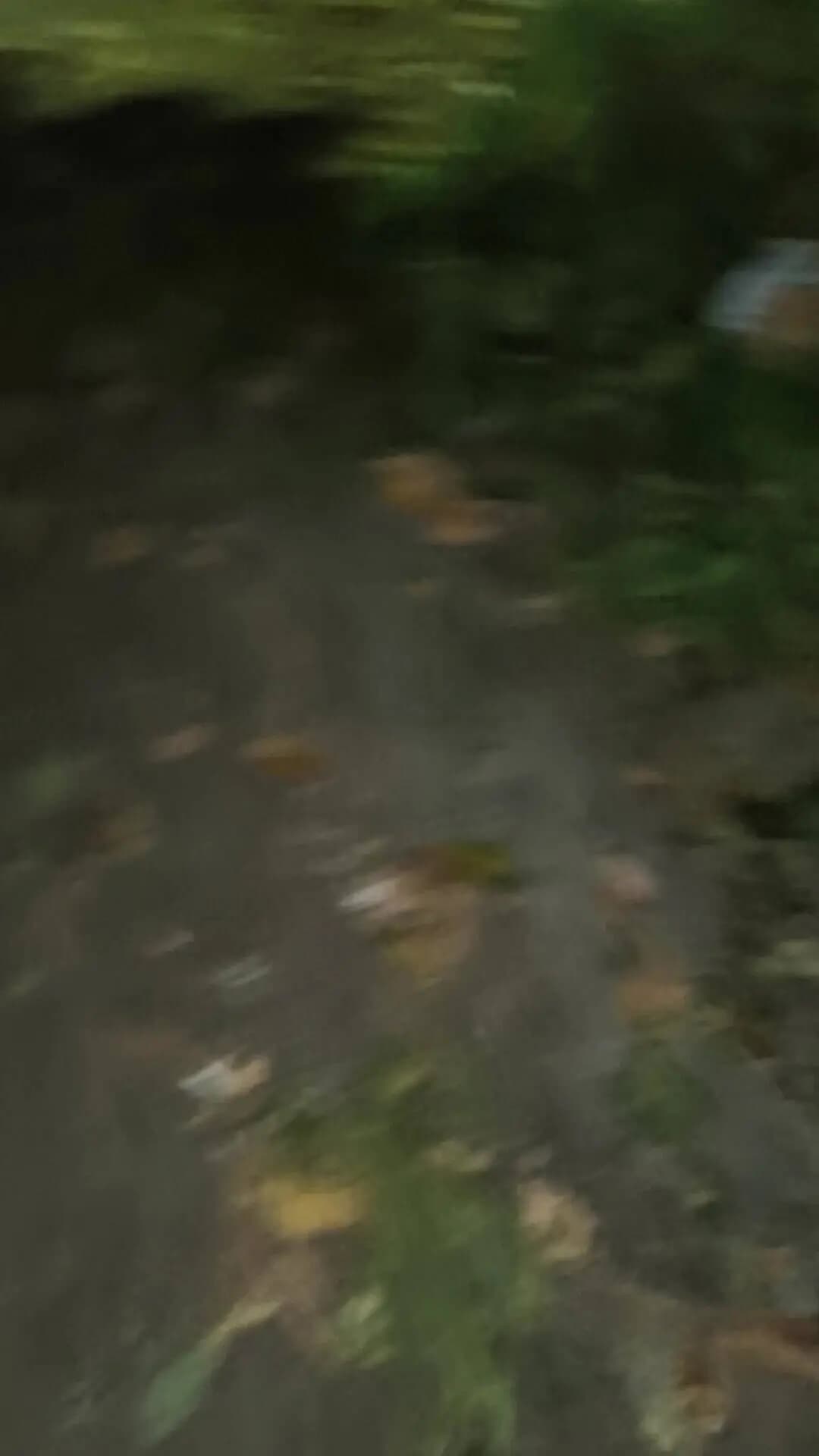 yah Mere Ghar Ke Piche ke Gali Wale Hain Jo Yahan gadi bhi Khadi Karte aur kachra bhi faila rakhe hain Charon Taraf
kit