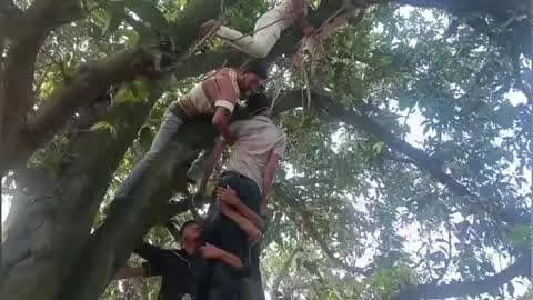 बुलंदशहर: कोतवाली देहात क्षेत्र में युवक का शव पेड़ से लटका मिला, पुलिस ने पोस्टमार्टम के लिए भेजा, आत्महत्या की आशंका