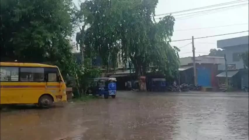 बरबीघा: बरबीघा में झमाझम बारिश से उमस भरी गर्मी से राहत, धान की फसल को मिला पानी