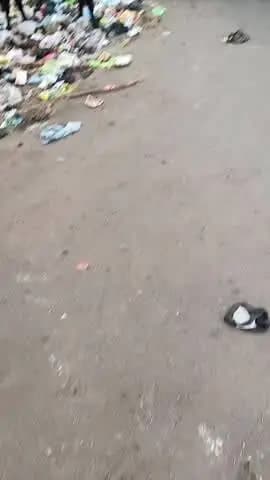 दूध न देने वाली गायों और नर बछड़ों को सड़कों पर लावारिस छोड़ने वाले डेयरी संचालकों पर कार्रवाई हो। इलाज भी