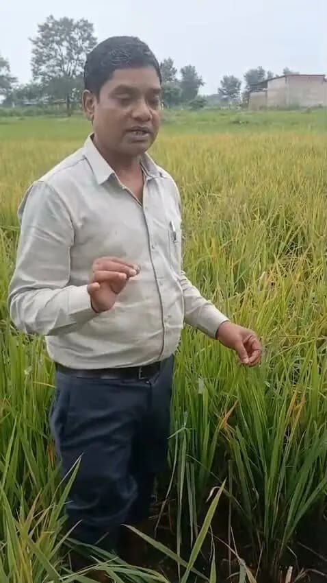 धान की फसल में माहू कीट और लीफ ब्लाइट से बचाव हेतु सलाह
Jansampark Madhya Pradesh
CM Madhya Pradesh
#mandla
Department of Agriculture, Madhya Pradesh