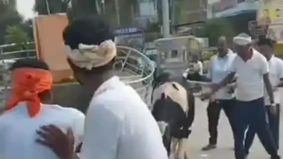 गोला: पटना चौराहे पर उत्पात मचाने वाला सांड पकड़ा गया, बड़हलगंज में सैकड़ों गाड़ियों को तोड़ा, दर्जनों लोग हुए घायल