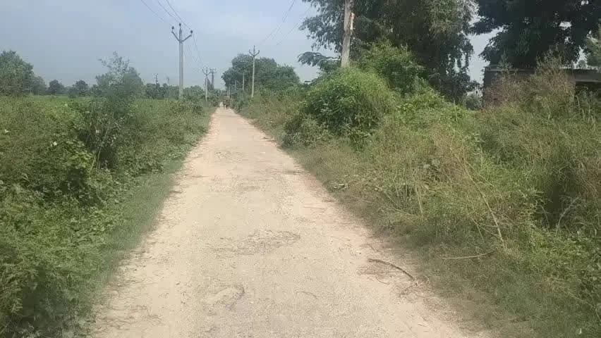 नवाबगंज: जैदपुर रोड से मक्कापुरवा रायपुर जाने वाली सड़क जर्जर, राहगीरों को हो रही परेशानी