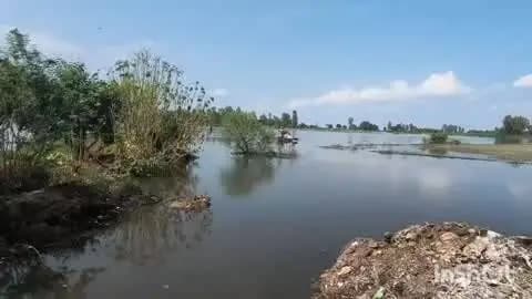 बिंदकी: महुआ घाट के समीप बाढ़ का पानी लगातार कम हो रहा है, गंगा नदी का जलस्तर खतरे के निशान से केवल 2 सेंटीमीटर ऊपर रह गया