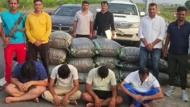 रोहतक: रोहतक में 350 किलो डोडा पोस्त के साथ चार आरोपी गिरफ्तार