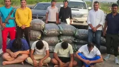 रोहतक: सांपला इलाके से 4 युवक नशीले पदार्थ संग काबू, 350 किलो डोडा पोस्त बरामद