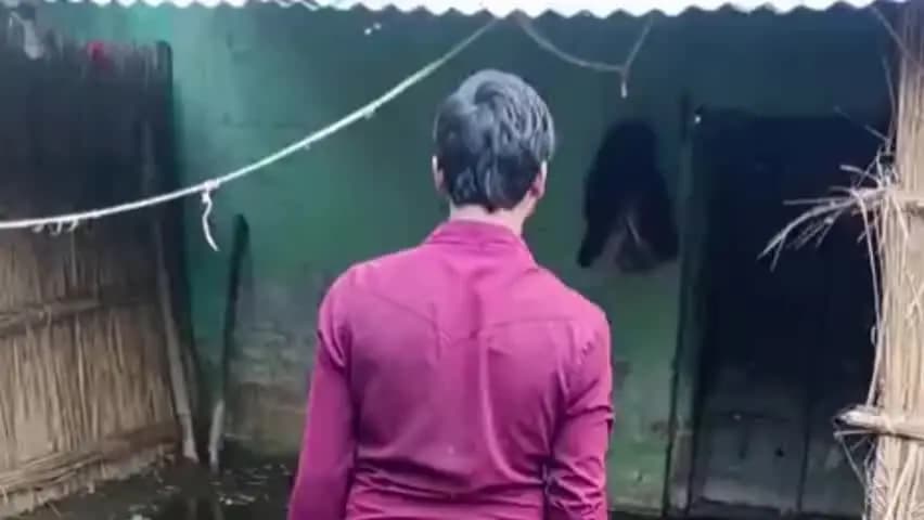 बिलग्राम: बिलग्राम में बाढ़ उतरते ही दिखी तबाही, आधे मकान ढहे, प्रभावित परिवार मुआवजे के इंतजार में