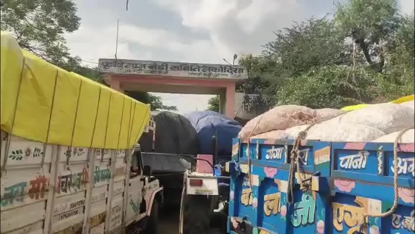 पोलायकलां: पोलाय कलां मंडी में प्याज-लहसुन की बंपर आवक, प्याज ₹4500, लहसुन ₹14000 तक बिका