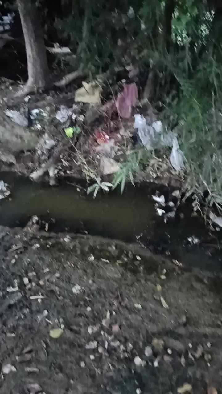 barish hone se gaon ke talab aur nali mein machharon ki sankhya mein lagatar badhotari ho rahi hai jisko rokane ki avash