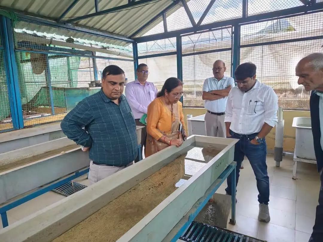 जोगिंदर नगर: जोगिंद्रनगर में महसीर फार्म का दौरा, 3,000 महसीर मछलियां छोड़ी गईं